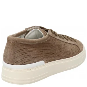 CAMOSCIONE