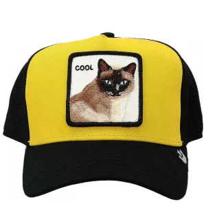 COOL CAT