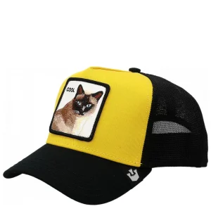 COOL CAT