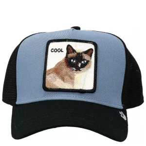 COOL CAT