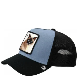 COOL CAT