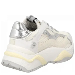 ODEON LOW