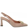 POLLINI