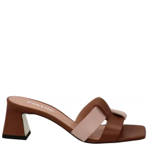 POLLINI