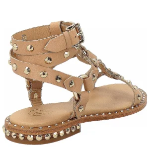 PULP03