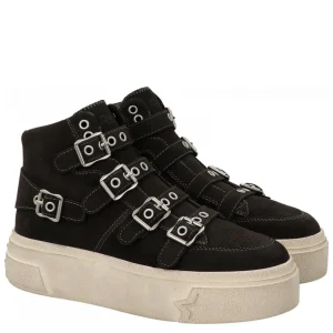 STARMOONBK6