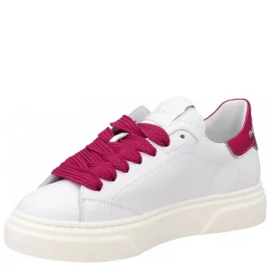 TEMPLE LEATHER
