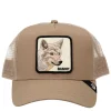 THE BANDIT COYOTE