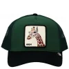 THE GIRAFFE