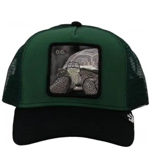 THE OG TORTOISE